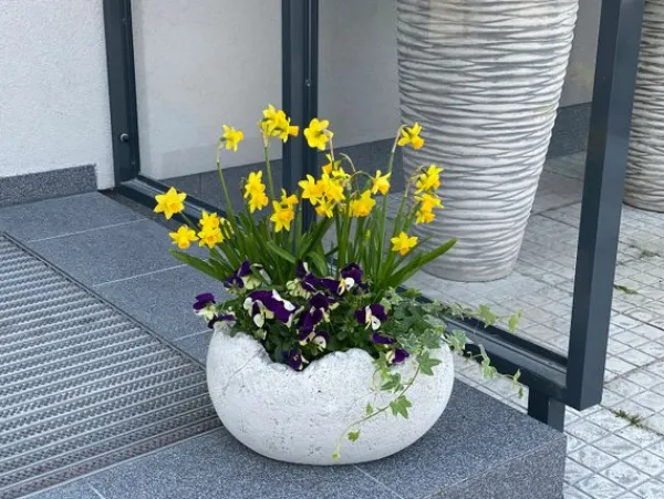 Gartendekoparadies Jardinières-Bol de Pâques