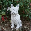 Gartendekoparadies Animaux-Bouledogue drôle
