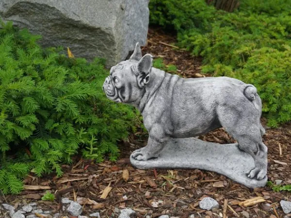 Gartendekoparadies Animaux-Bulldog français