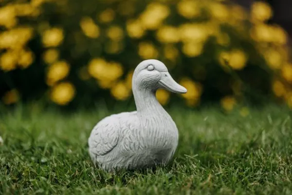 Gartendekoparadies Animaux-Canard mignon