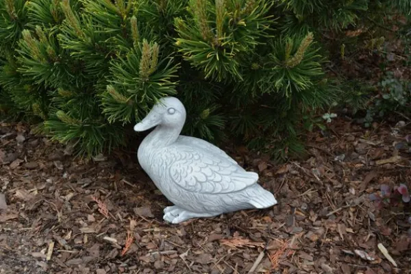 Gartendekoparadies Animaux-Canard mignon