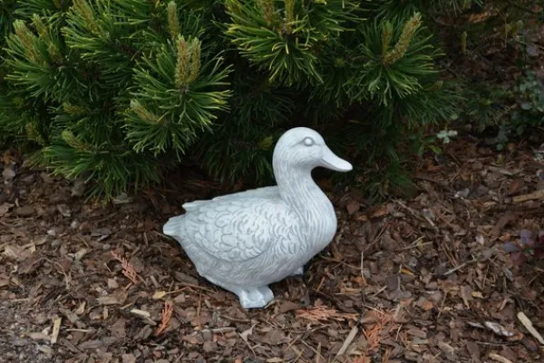 Gartendekoparadies Animaux-Canard mignon