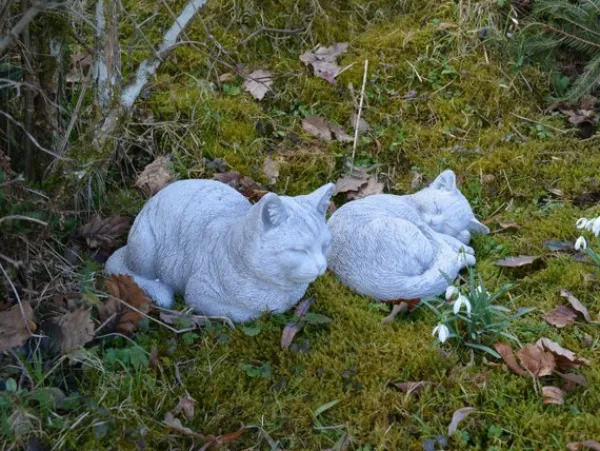 Gartendekoparadies Animaux-Chat endormi