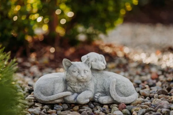 Gartendekoparadies Animaux-Chien et chat dans une complicité chaleureuse
