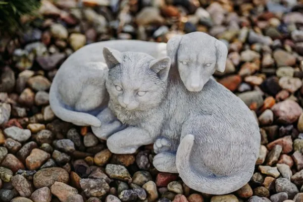 Gartendekoparadies Animaux-Chien et chat dans une complicité chaleureuse
