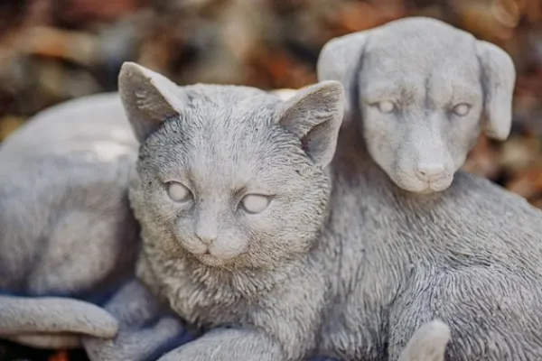 Gartendekoparadies Animaux-Chien et chat dans une complicité chaleureuse