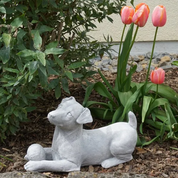 Gartendekoparadies Animaux-Chien Jack Russell Terrier