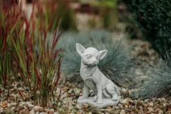 Gartendekoparadies Animaux-Chihuahua mignon