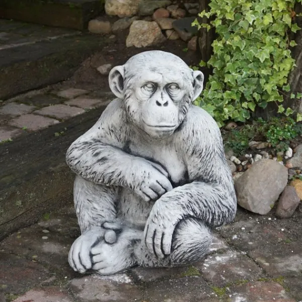 Gartendekoparadies Animaux-Chimpanzé drôle