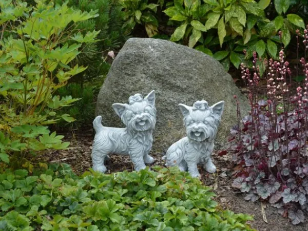 Gartendekoparadies Animaux-Ensemble : deux Yorkshire Terriers