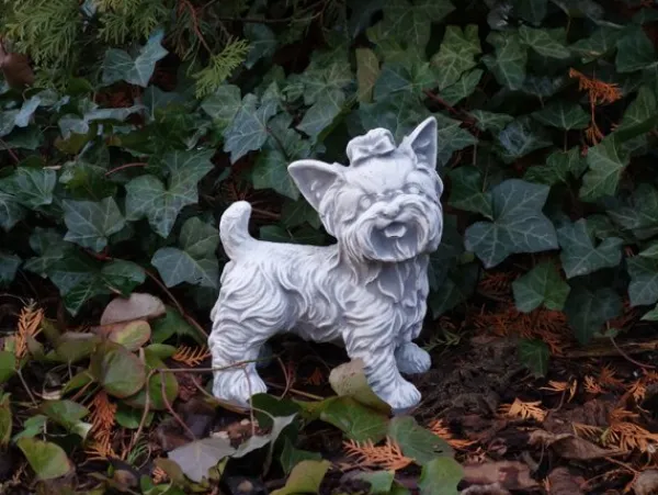Gartendekoparadies Animaux-Ensemble : deux Yorkshire Terriers
