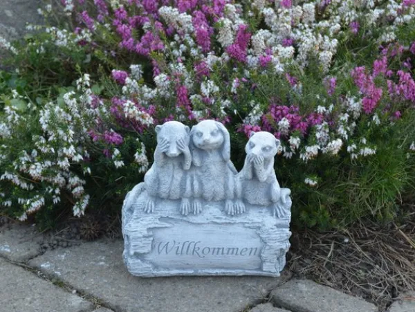 Gartendekoparadies Animaux-Famille de suricates dit : Bienvenue