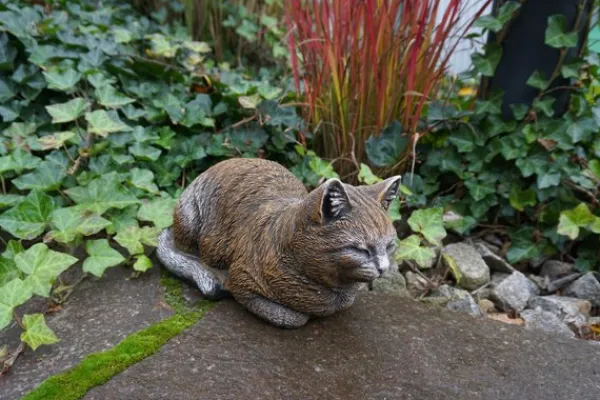 Gartendekoparadies Animaux-Figurine chat marron