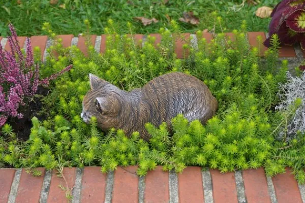 Gartendekoparadies Animaux-Figurine chat marron