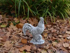 Gartendekoparadies Animaux-figurine de coq