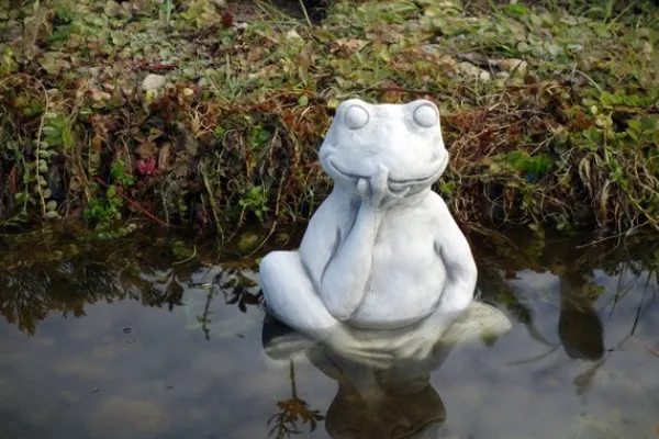 Gartendekoparadies Animaux-Flips – la grenouille réfléchie
