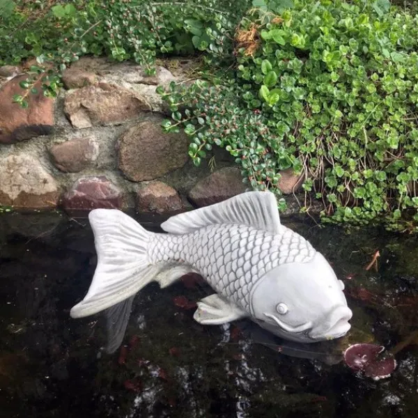 Gartendekoparadies Animaux-Grand poisson Saragoi
