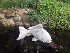 Gartendekoparadies Animaux-Grand poisson Saragoi