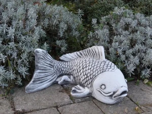 Gartendekoparadies Animaux-Grand poisson Saragoi