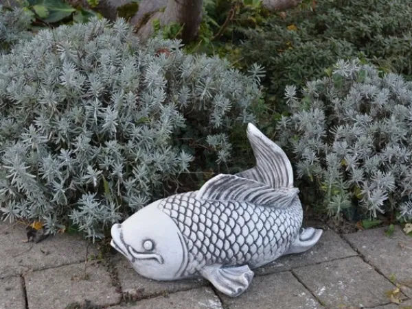 Gartendekoparadies Animaux-Grand poisson Saragoi