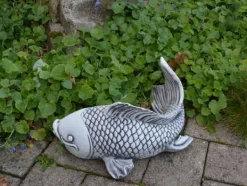 Gartendekoparadies Animaux-Grand poisson Saragoi