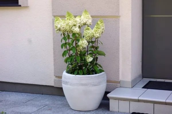 Gartendekoparadies Jardinières-Grand pot de fleurs avec relief