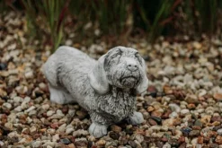Gartendekoparadies Animaux-Grand teckel à poil dur