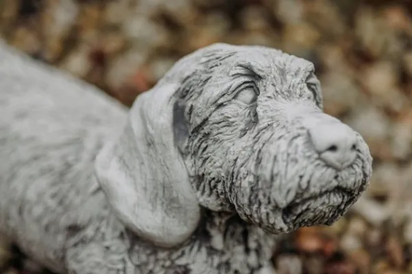 Gartendekoparadies Animaux-Grand teckel à poil dur