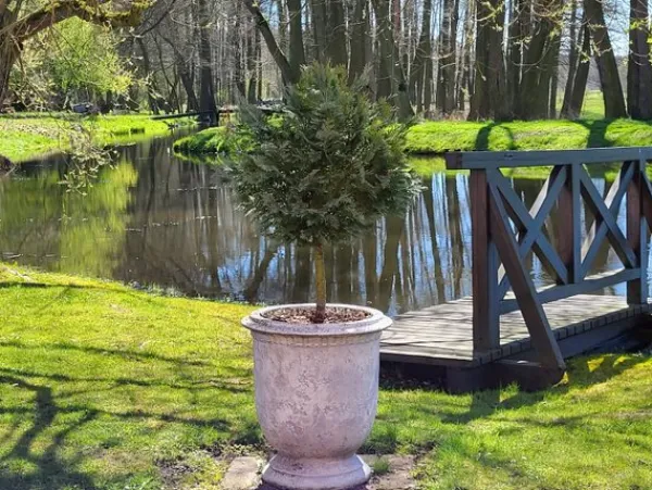 Gartendekoparadies Jardinières-Grande jardinière