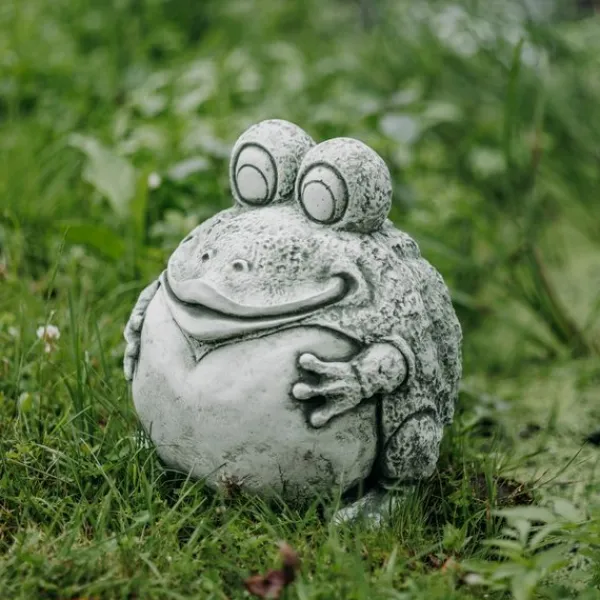 Gartendekoparadies Animaux-Grenouille drôle