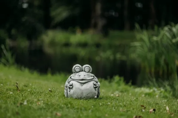 Gartendekoparadies Animaux-Grenouille drôle