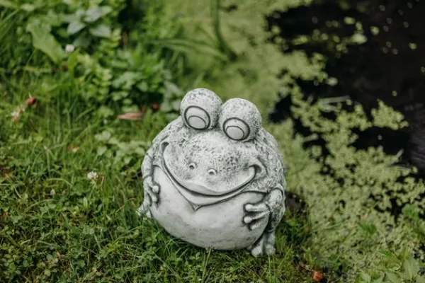 Gartendekoparadies Animaux-Grenouille drôle