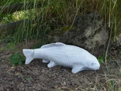 Gartendekoparadies Animaux-Gros poisson koi