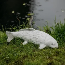 Gartendekoparadies Animaux-Gros poisson koi