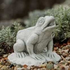 Gartendekoparadies Animaux-Grosse grenouille avec cours d'eau