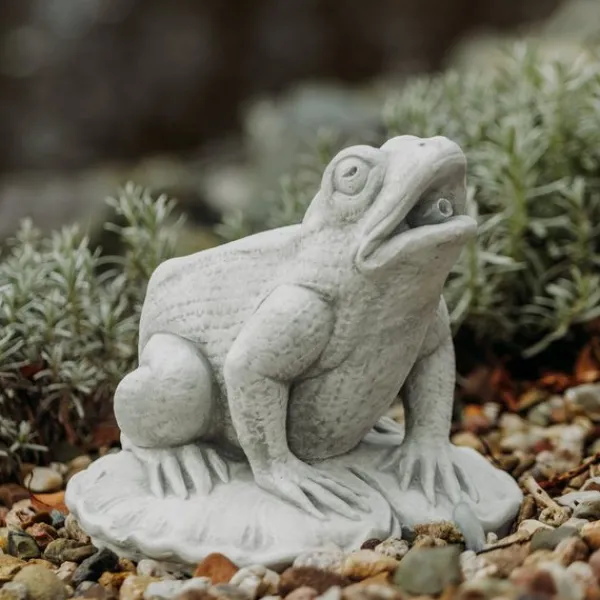 Gartendekoparadies Animaux-Grosse grenouille avec cours d'eau