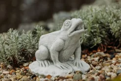 Gartendekoparadies Animaux-Grosse grenouille avec cours d'eau