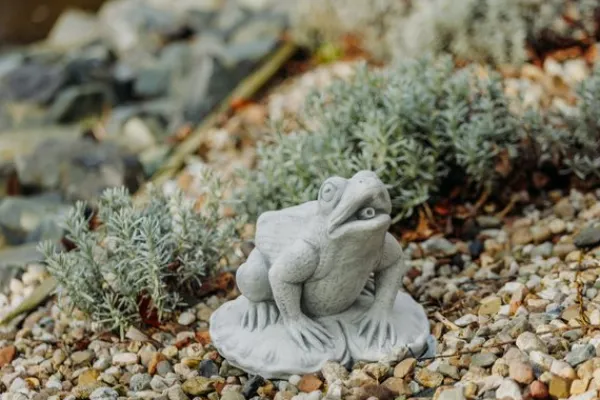 Gartendekoparadies Animaux-Grosse grenouille avec cours d'eau