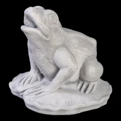 Gartendekoparadies Animaux-Grosse grenouille avec cours d'eau