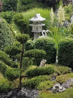 Gartendekoparadies Lanternes En Pierre-Immense salon de thé japonais