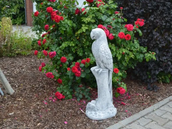 Gartendekoparadies Animaux-Immense sculpture de perroquet