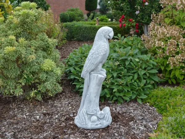 Gartendekoparadies Animaux-Immense sculpture de perroquet