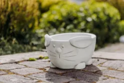 Gartendekoparadies Jardinières-Lapin bol de plantes de Pâques