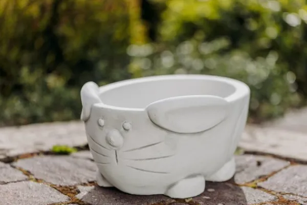 Gartendekoparadies Jardinières-Lapin bol de plantes de Pâques