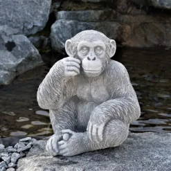 Gartendekoparadies Animaux-Le chimpanzé mignon observe des personnes