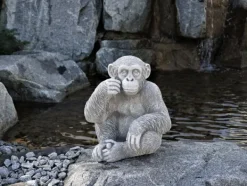 Gartendekoparadies Animaux-Le chimpanzé mignon observe des personnes
