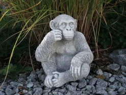 Gartendekoparadies Animaux-Le chimpanzé mignon observe des personnes