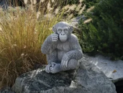 Gartendekoparadies Animaux-Le chimpanzé mignon observe des personnes