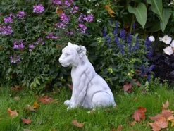 Gartendekoparadies Animaux-Lionne puissante