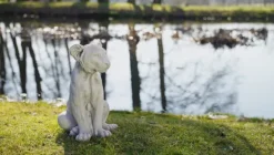 Gartendekoparadies Animaux-Lionne puissante